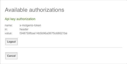 Api key authorization